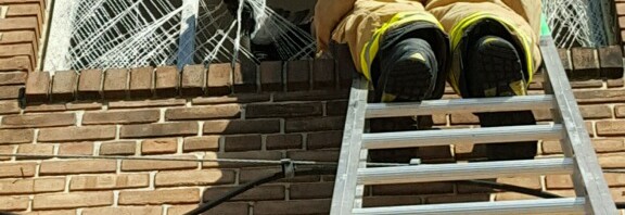 Firemen Rescue Pigeon In the Borough